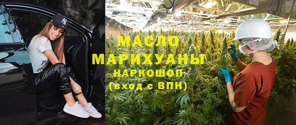 гидра Заводоуковск