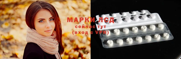 гидра Заводоуковск