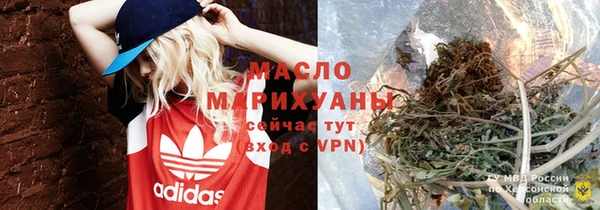 гидра Заводоуковск