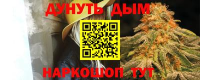 гашик Краснознаменск
