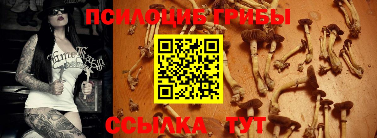 Галлюциногенные грибы GOLDEN TEACHER  Псилоцибиновые грибы MAGIC MUSHROOMS  Вход с VPN  Туймазы 